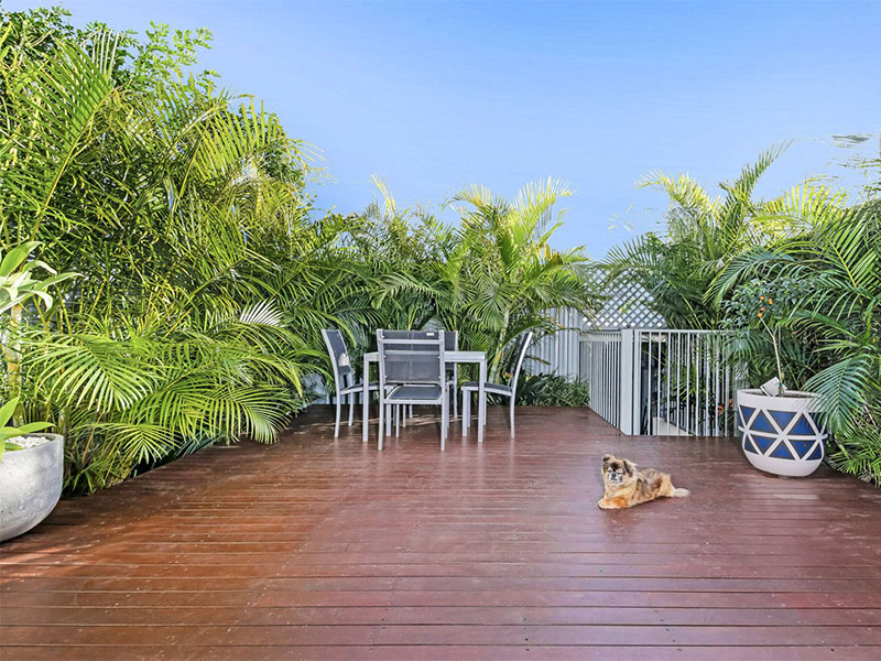 Buyers Agent Purchase in St Peters, Sydney - Terrace