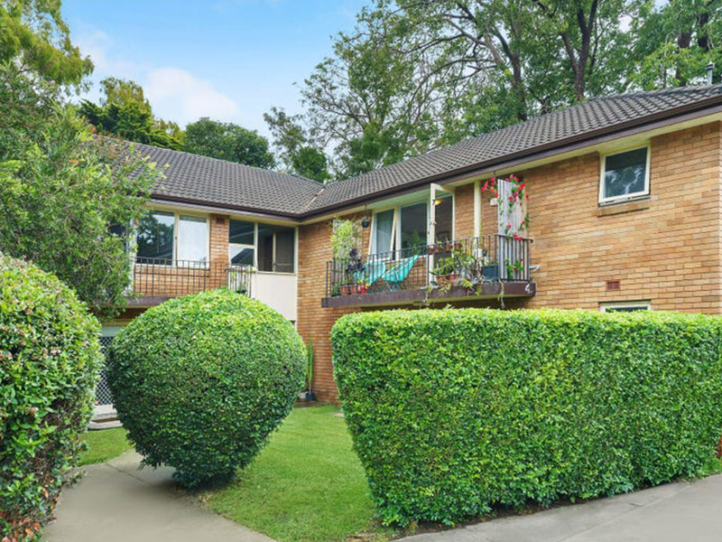 Buyers Agent Purchase in Dulwich Hill, Sydney - Garden