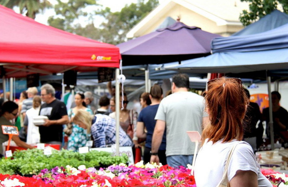 lilyfield buyers agent