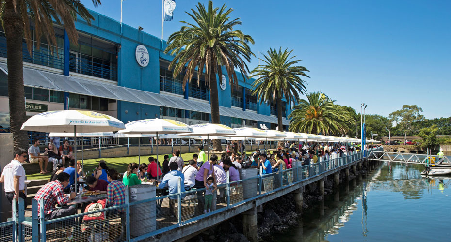 pyrmont buyers agent