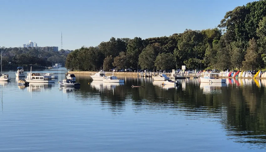 Lilyfield property suburbs real estate for Buyers Advocate