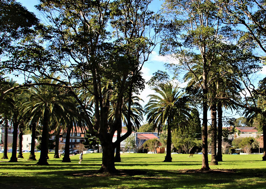 Real Estate for Buyers Agent Ashfield