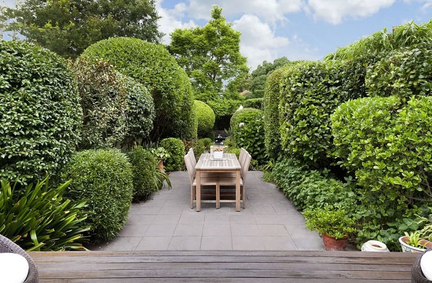 Real estate for Buyers Agent Drummoyne